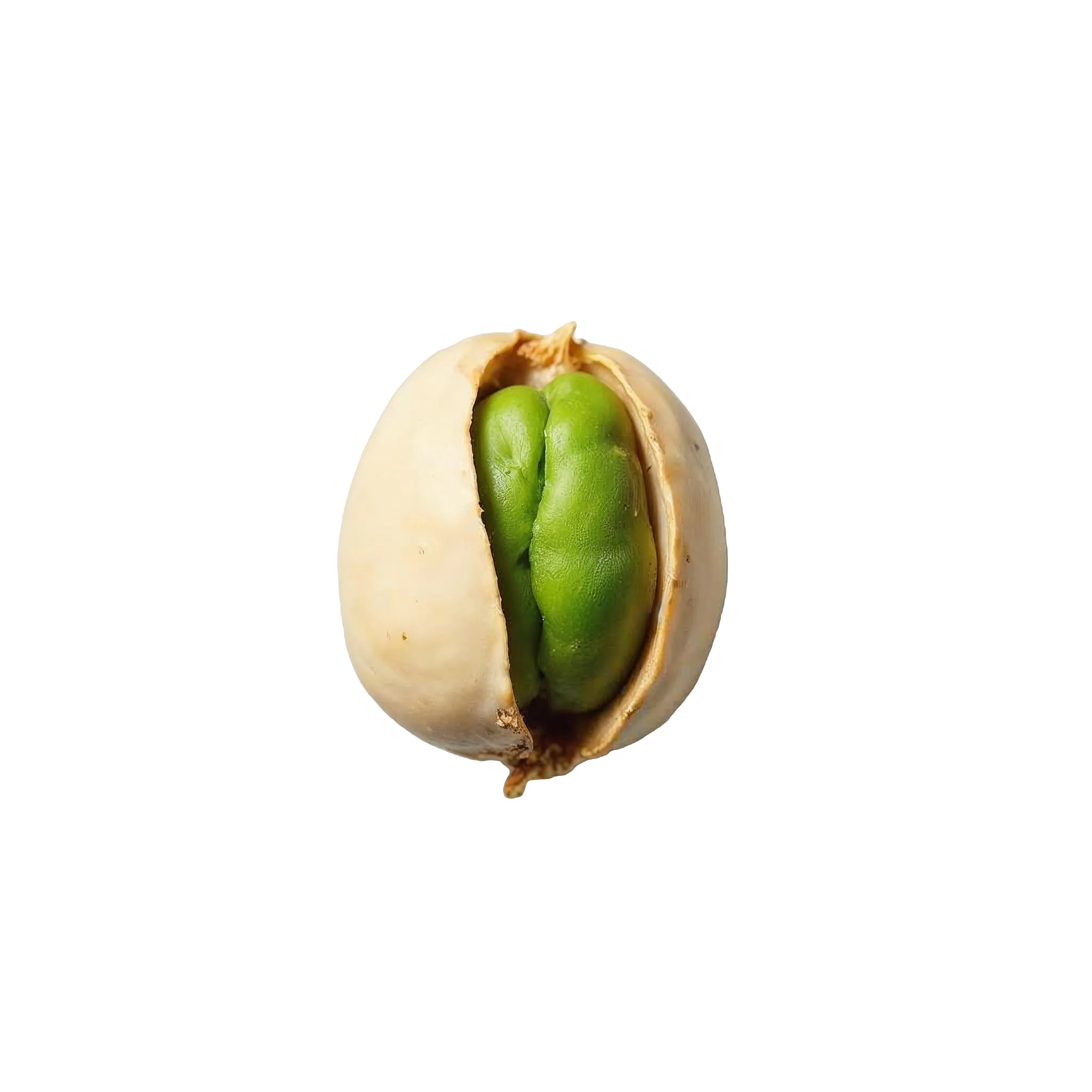 pistachio